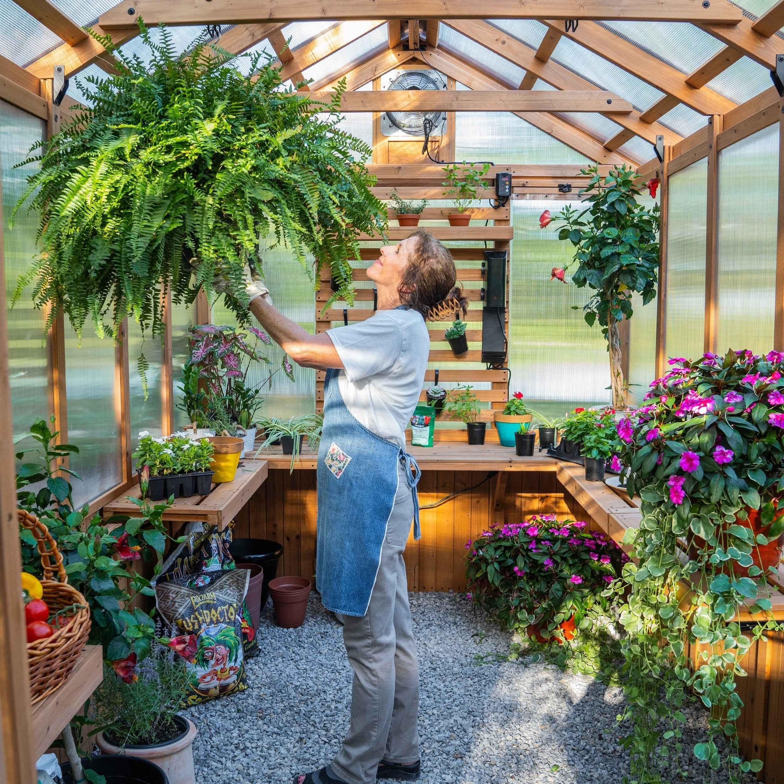 Backyard Discovery 11x7 Bellerose Greenhouse.