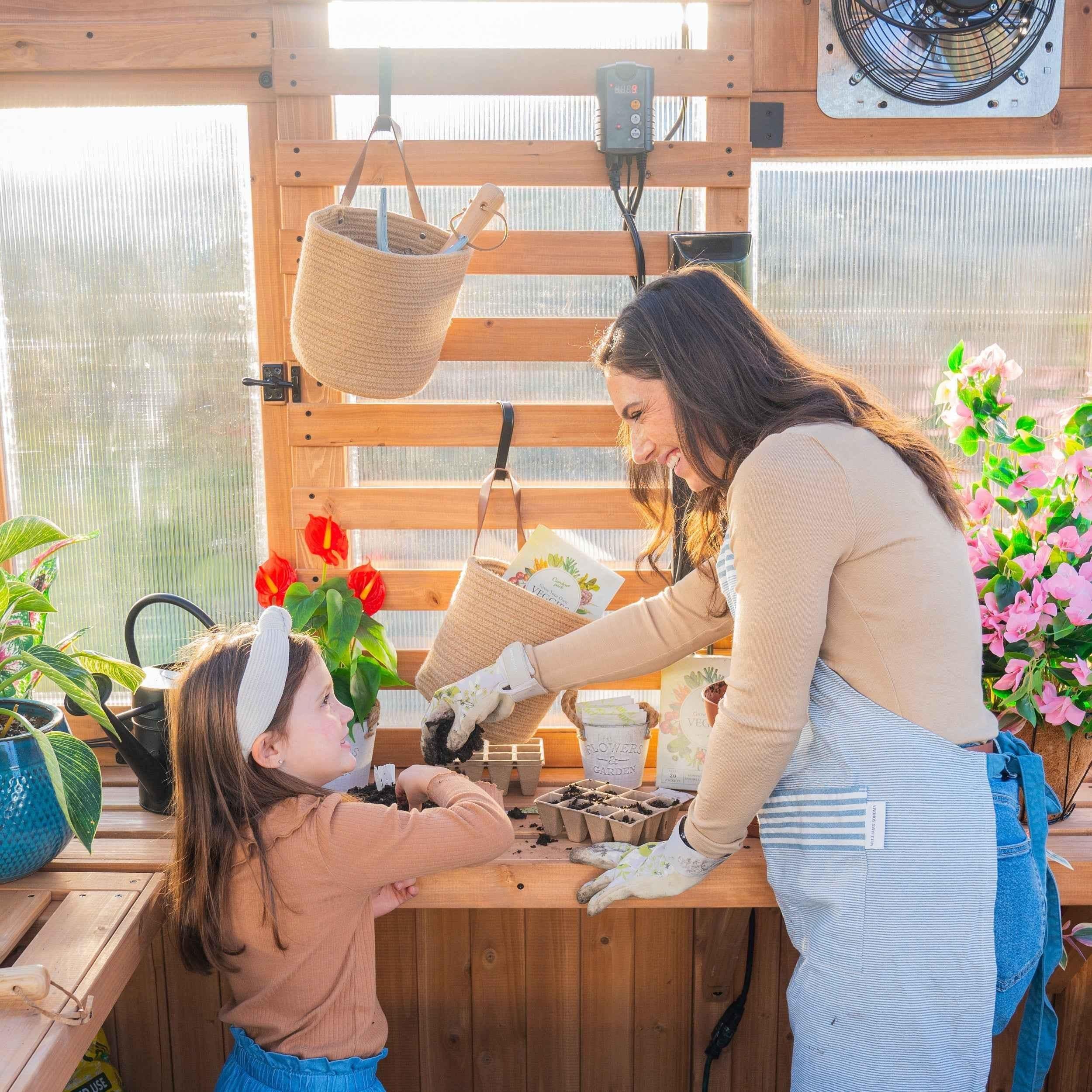 Backyard Discovery 9x6 Willow Greenhouse.