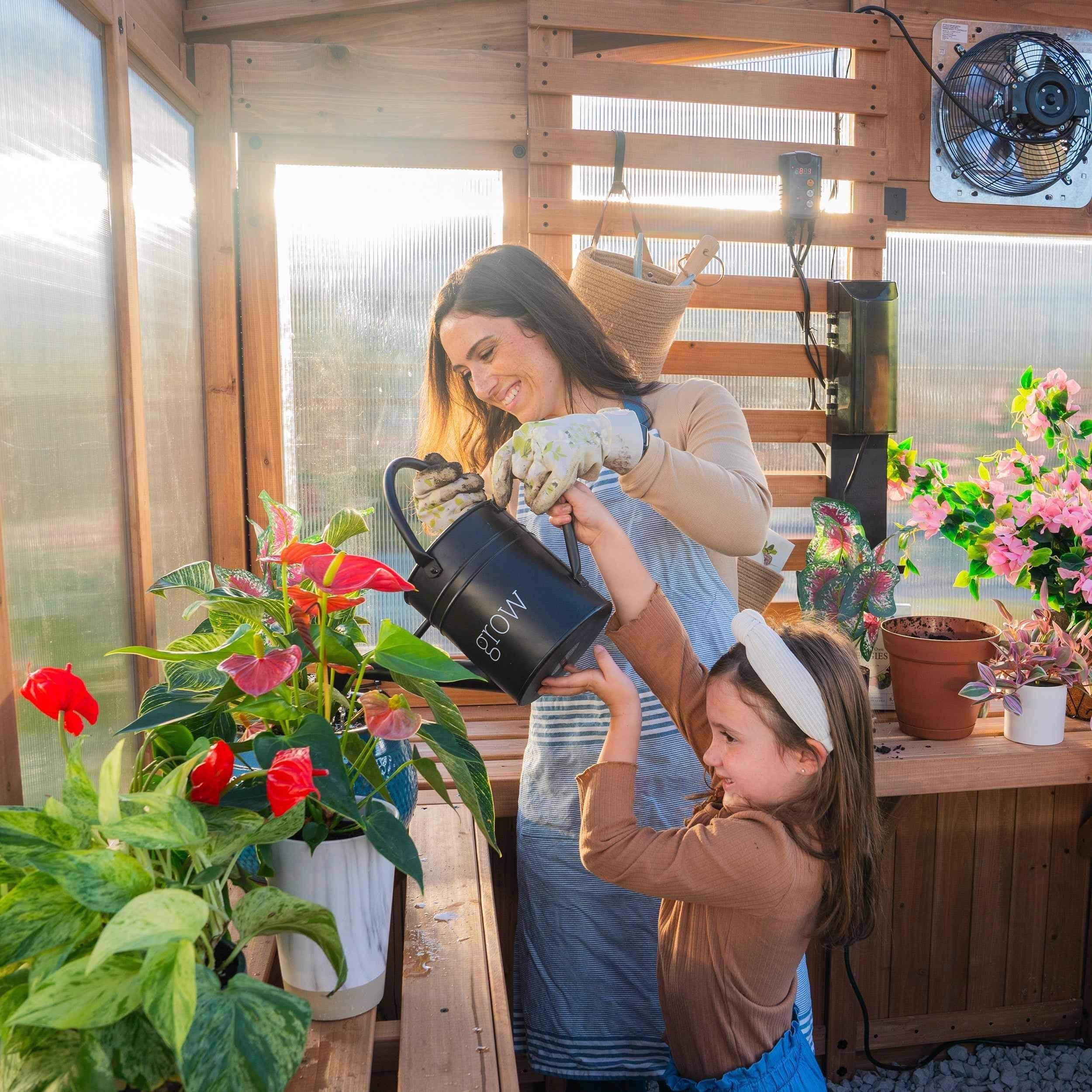 Backyard Discovery 9x6 Willow Greenhouse.