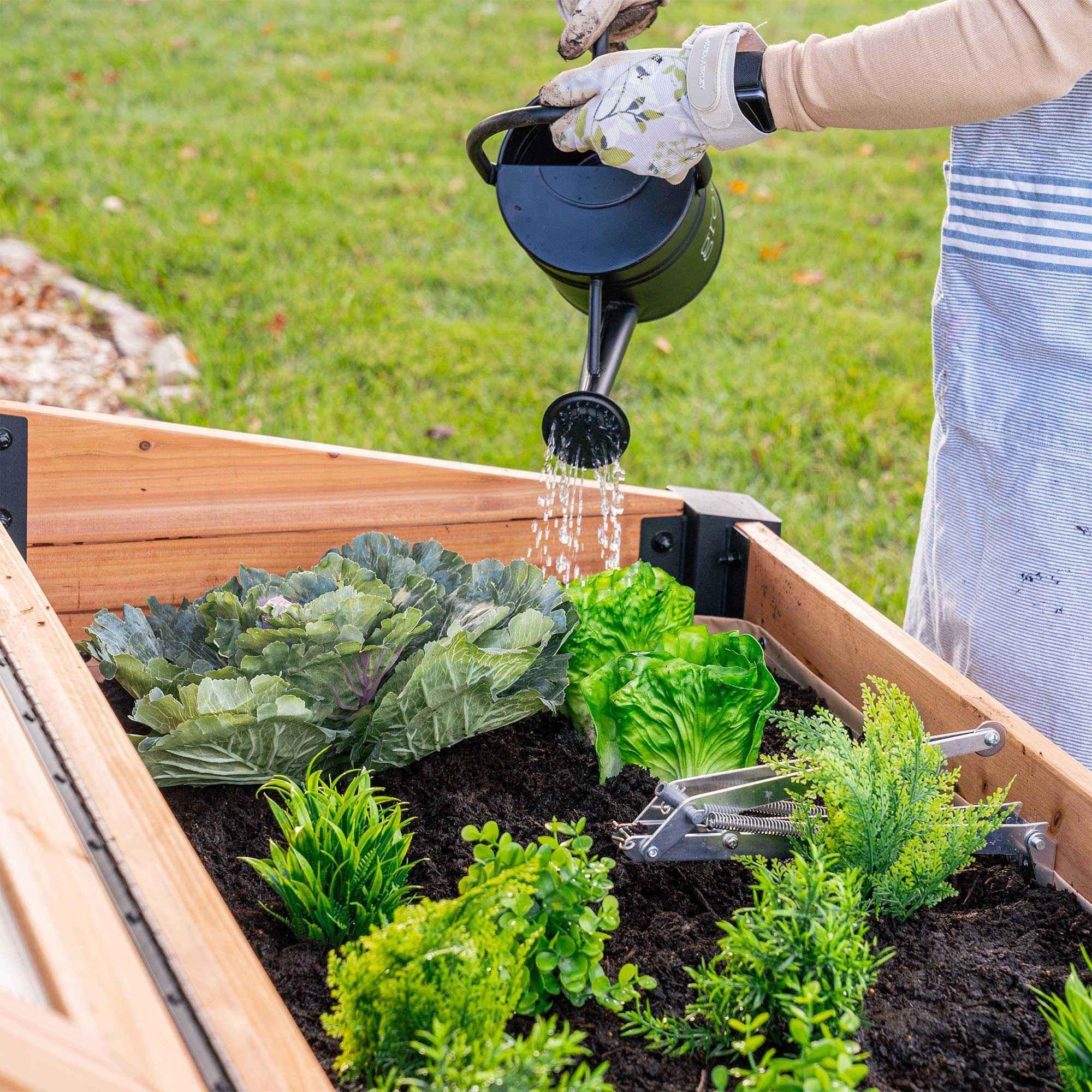 Backyard Discovery Aggie Cold Frame Box.