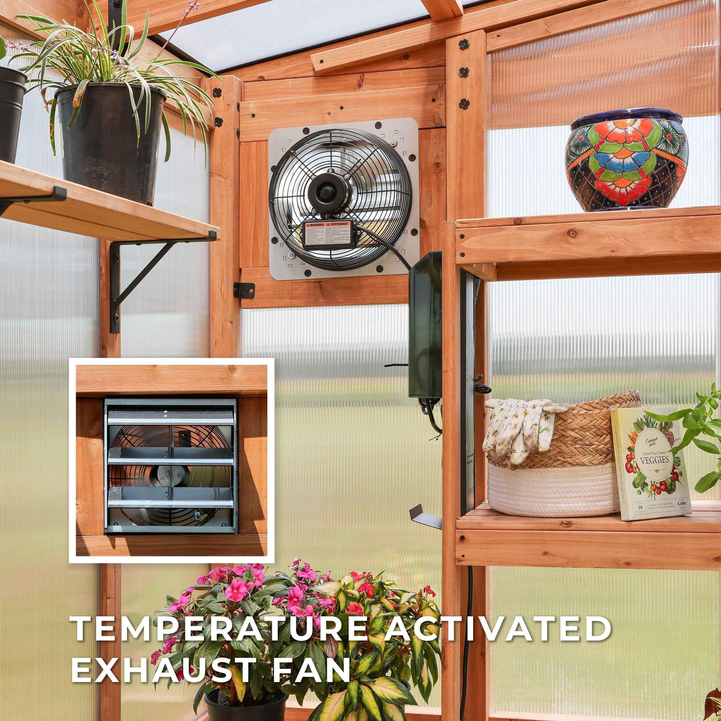 Backyard Discovery 11x7 Poppy Greenhouse.