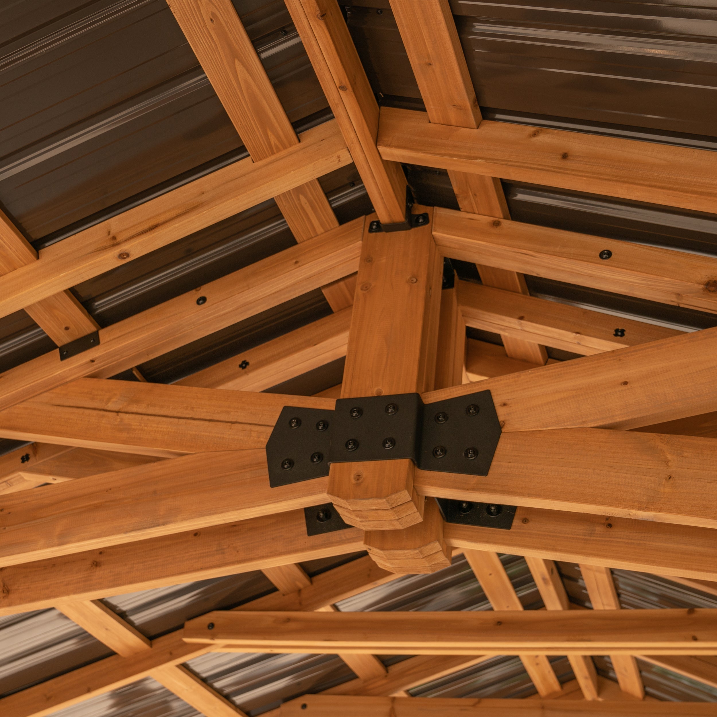 Norwood 20x12 Carport Gazebo Inside Roof